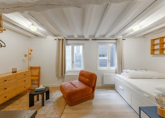 Apartment Centre Historique - Le Beauvoisin - Wifi