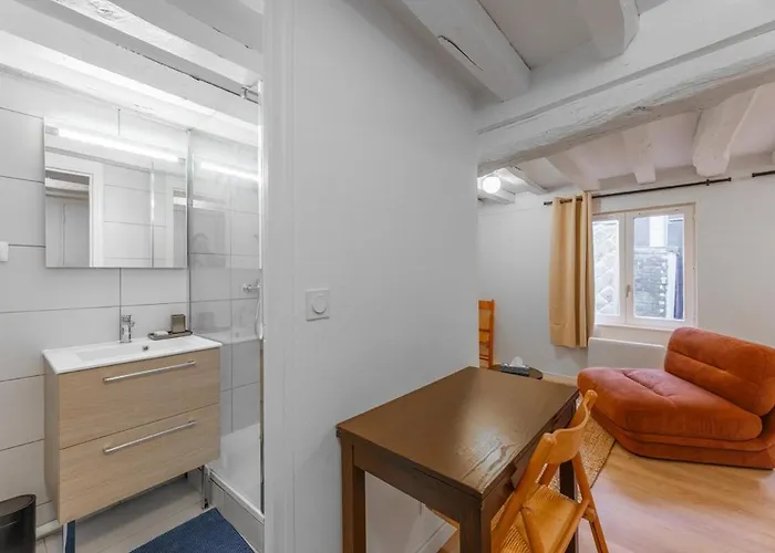 Centre Historique - Le Beauvoisin - Wifi Apartment *