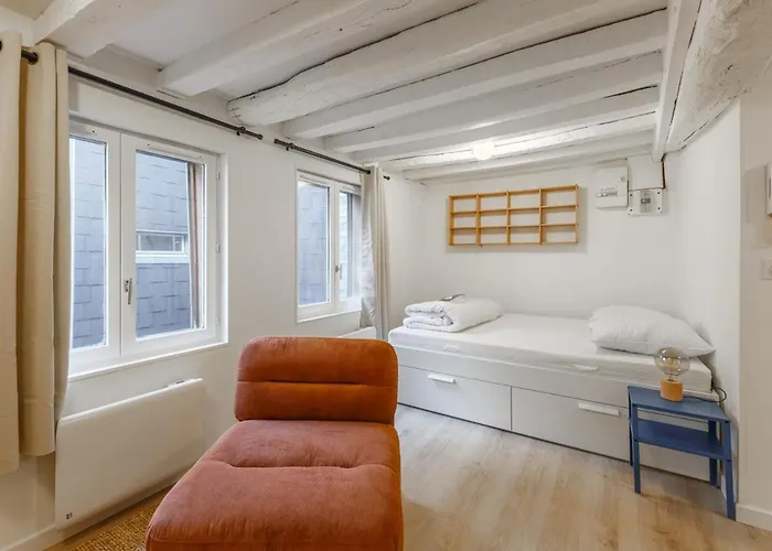 Centre Historique - Le Beauvoisin - Wifi Apartment